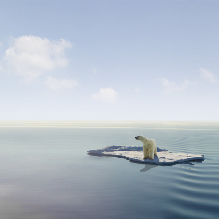 OP_GoggleLandingPage-PolarBear725x725_aa8387bf-42c5-4907-a8b5-028e8480be33.jpg