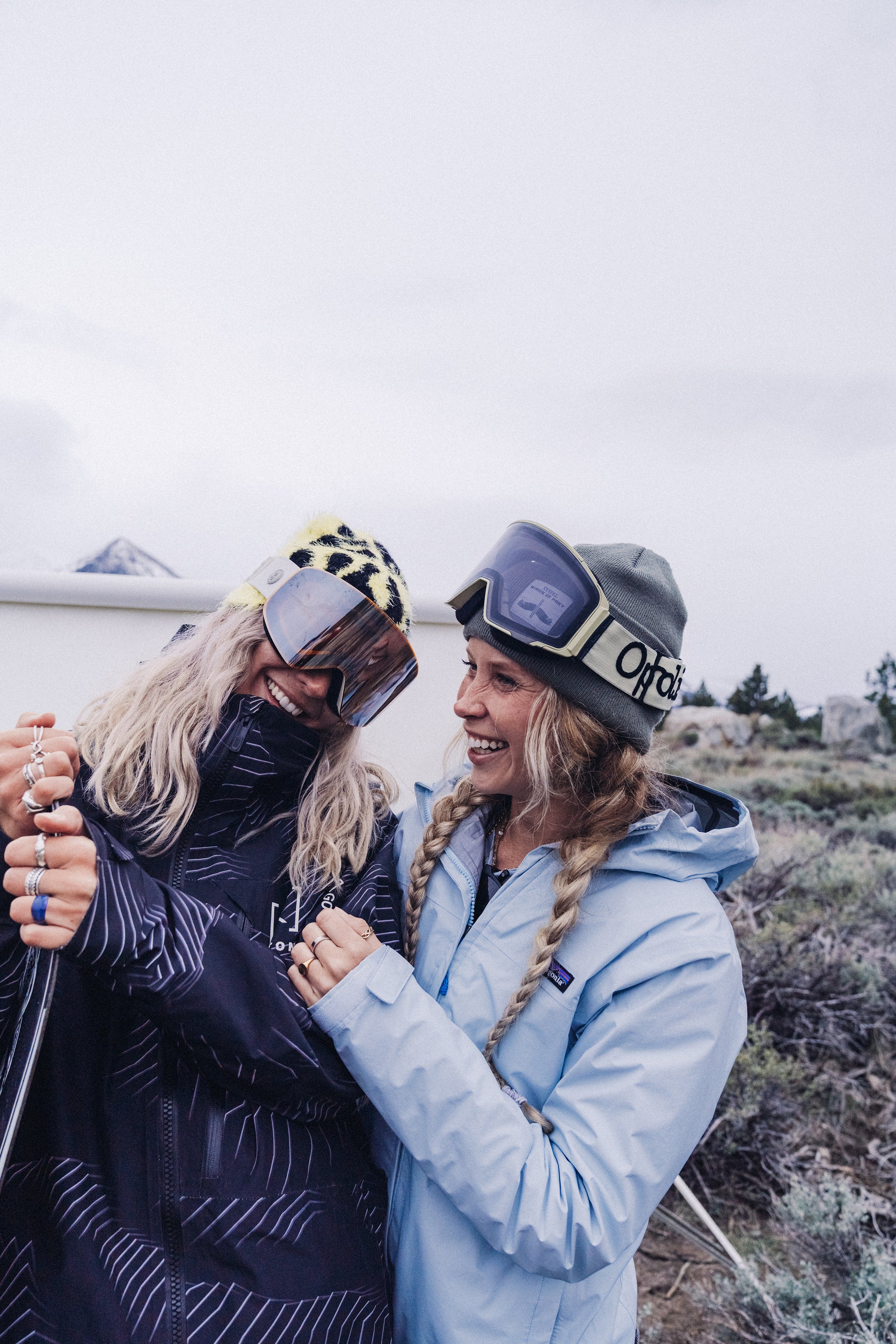 Pre-Order Vertex Ski & Snowboard Goggles