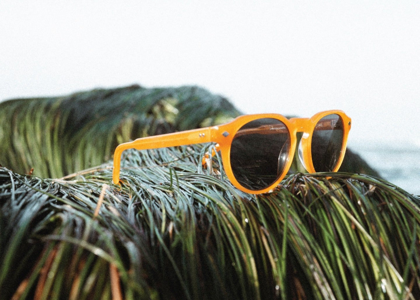 social post by opolis_optics