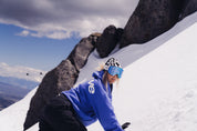 Pre-Order Summit Ski & Snowboard Goggles (Silver Line Mirrored Lens)